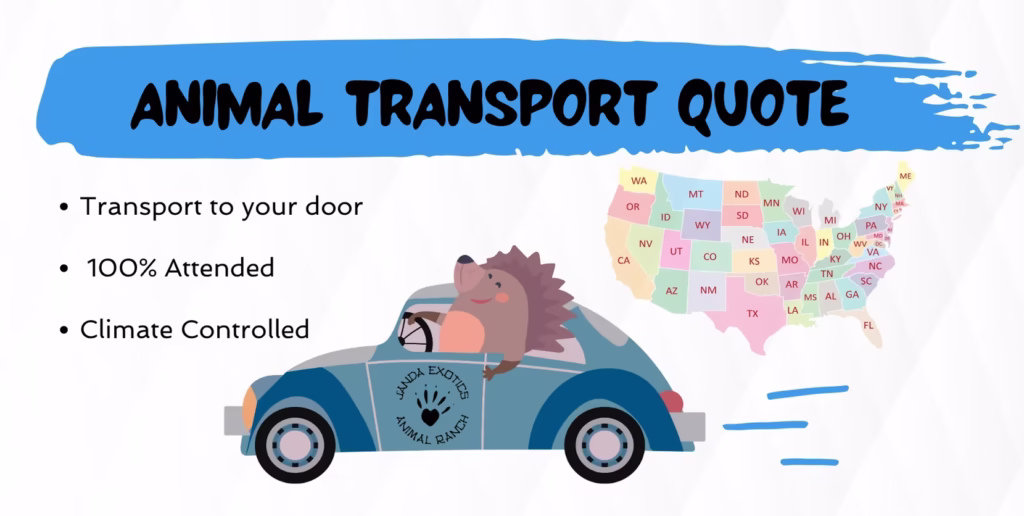 animal delivery quote animal delivery quote