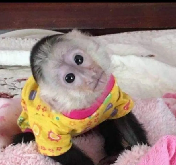 Screenshot 2023-09-07 162943