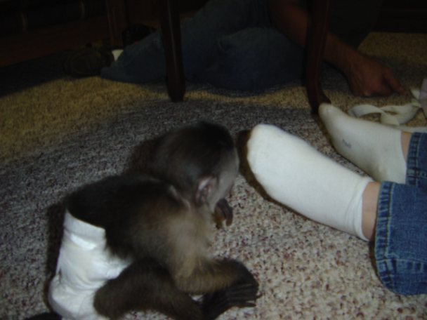 4b8d1d39-acc8-4379-b9db-836db6317340 - Copy